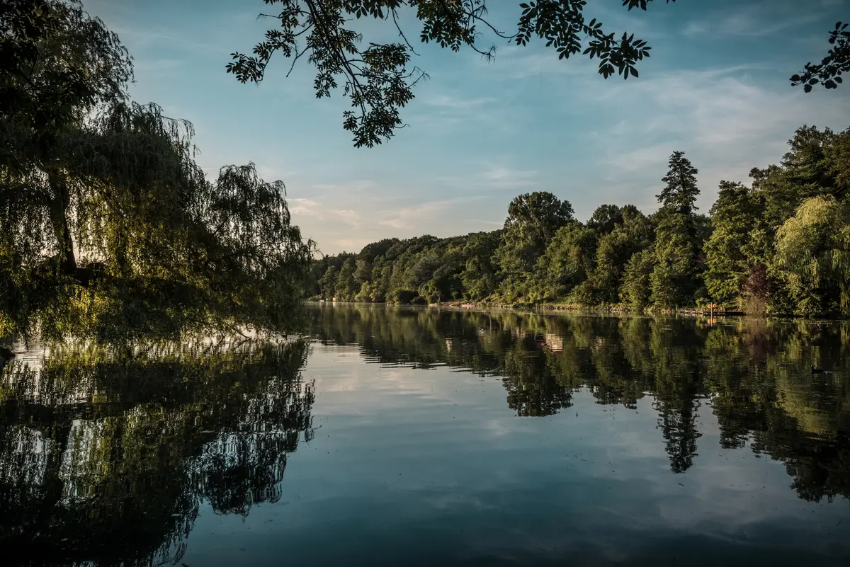 Flussufer mit Bäumen am Wasser